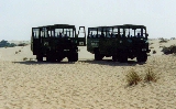 Jeeps in het Doñana Park